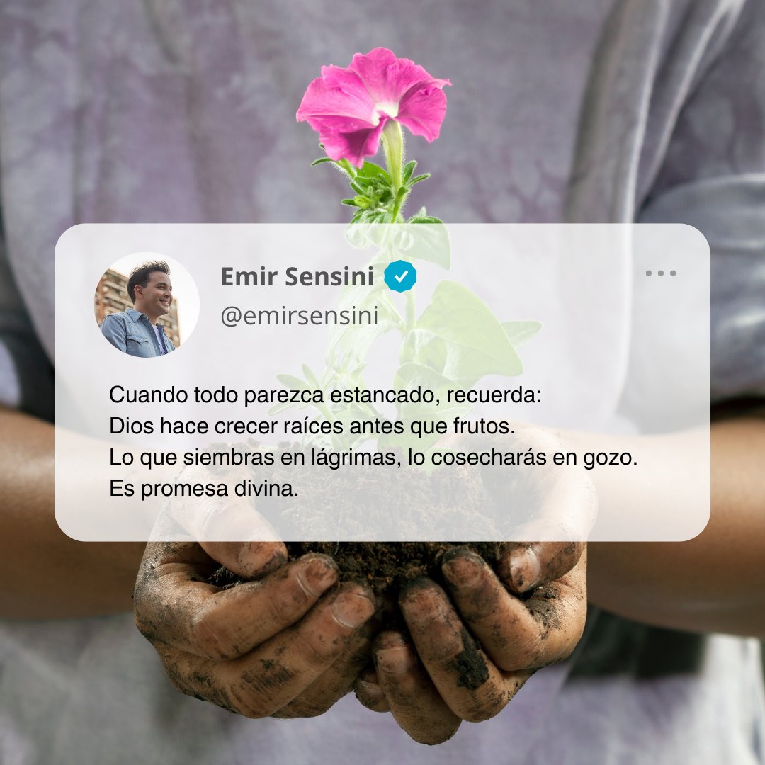 🌳⏳ “Los que siembran con lágrimas cosecharán con gritos de alegría. Lloran al ir sembrando sus semillas, pero regresan cantando cuando traen la cosecha.” Salmos 126:5-6 NTV
