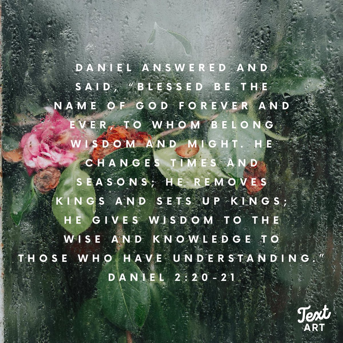 Linda Hoenstine (@lindah71170) on Twitter photo 