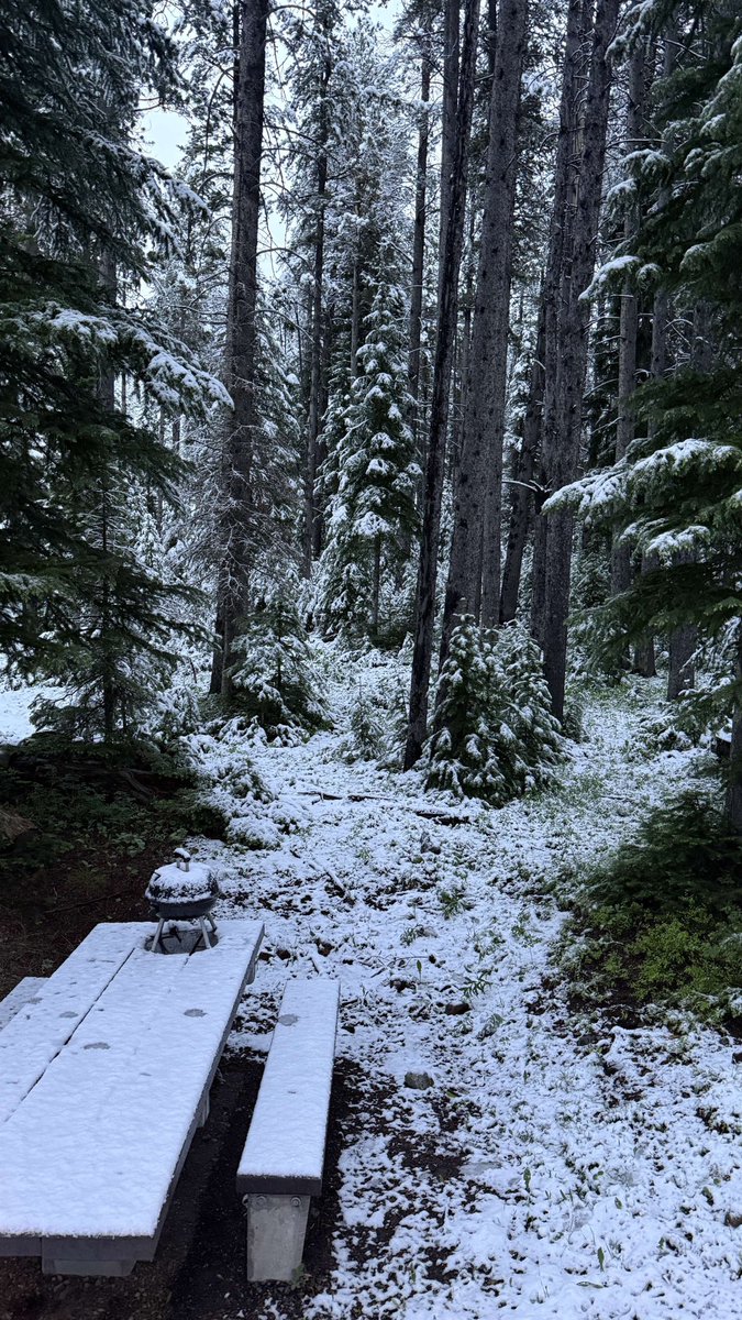 June snow at Cooke City, Montana this morning… photo from Angie McMullan