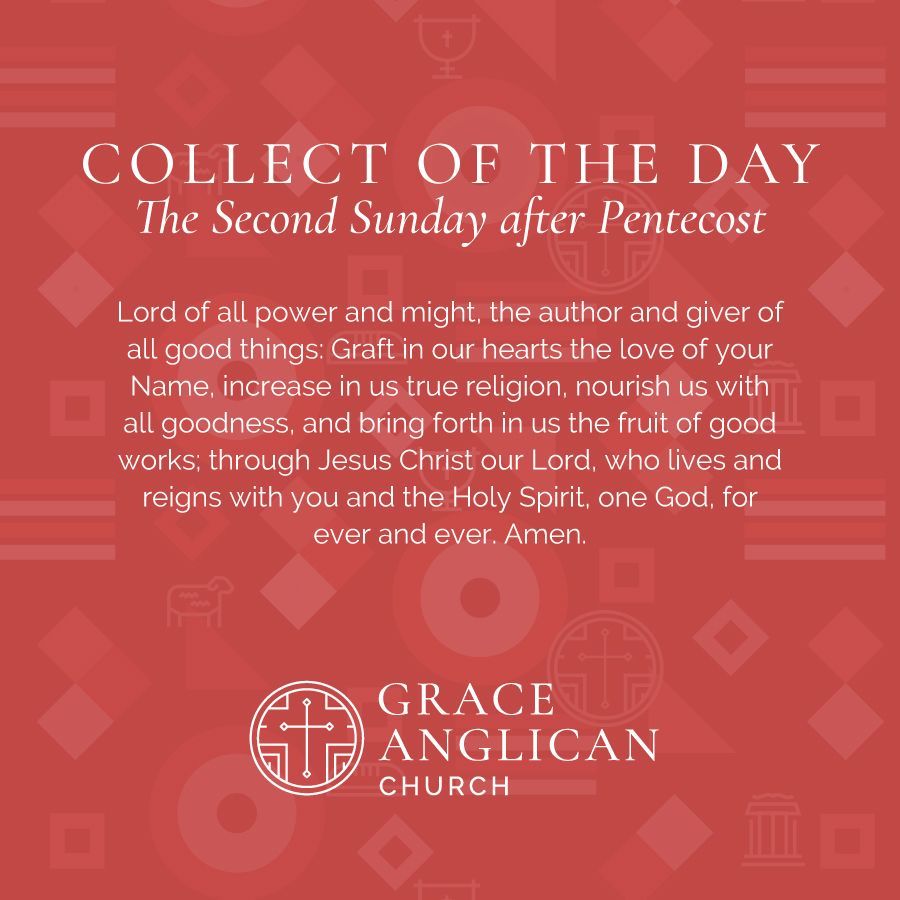 Grace Anglican Louisville (@graceanglou) on Twitter photo 