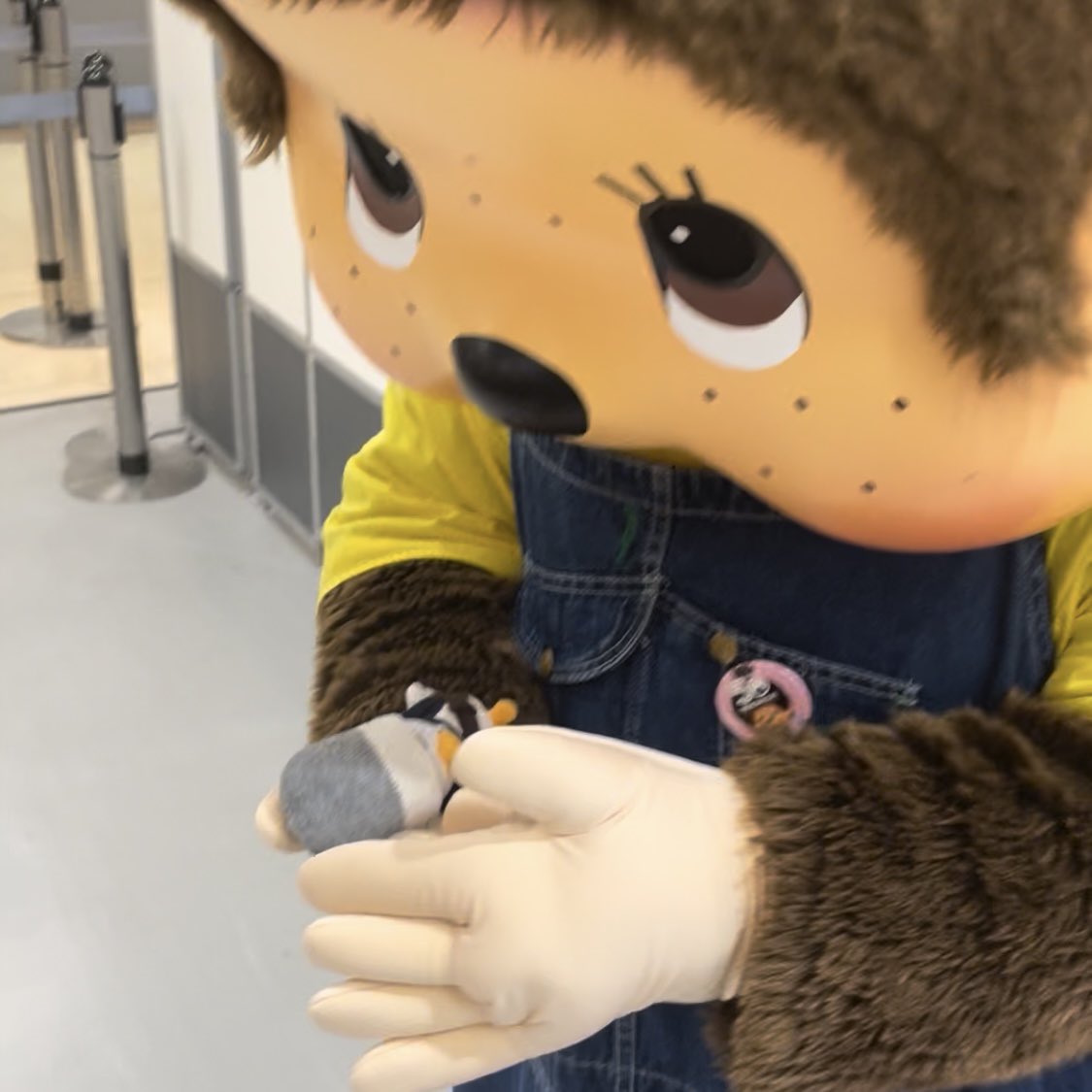 solarblue03's tweet photo. https://t.co/5BsVlq0k2b