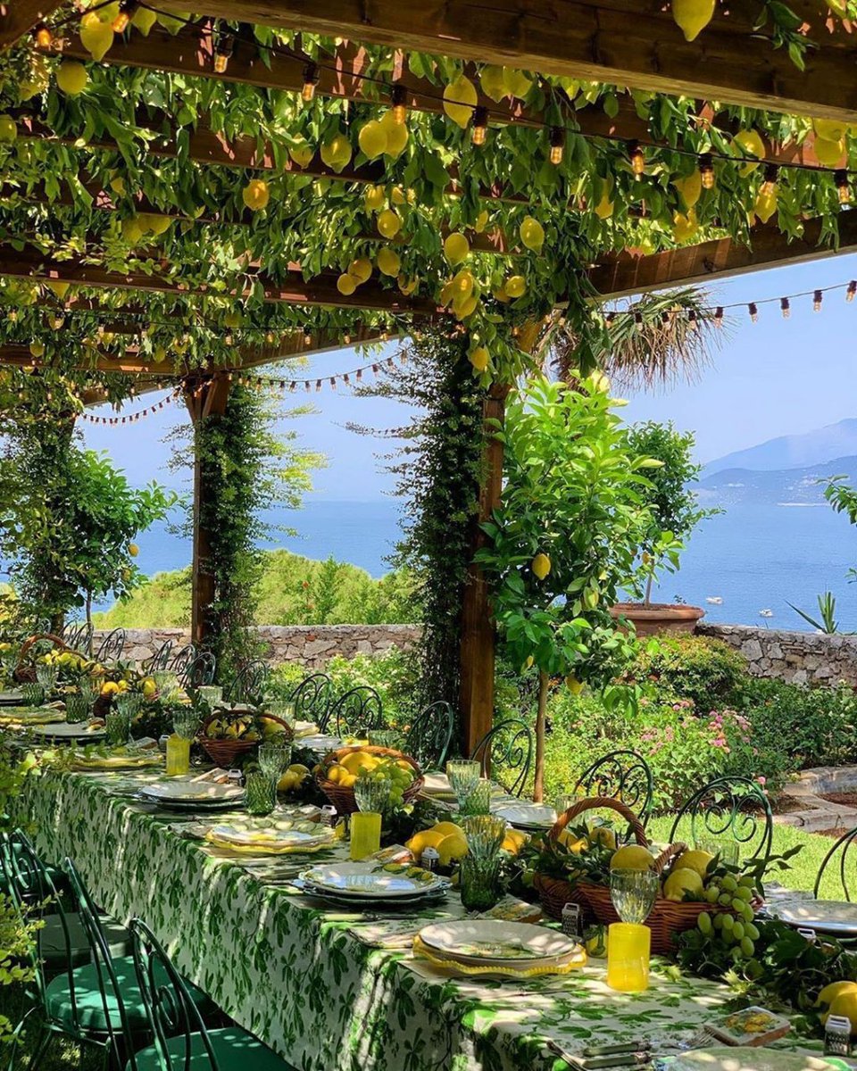 Mitch Ball tweet media