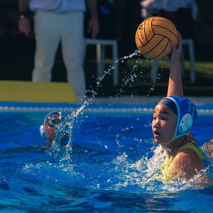 CD Natación Boadilla tweet media
