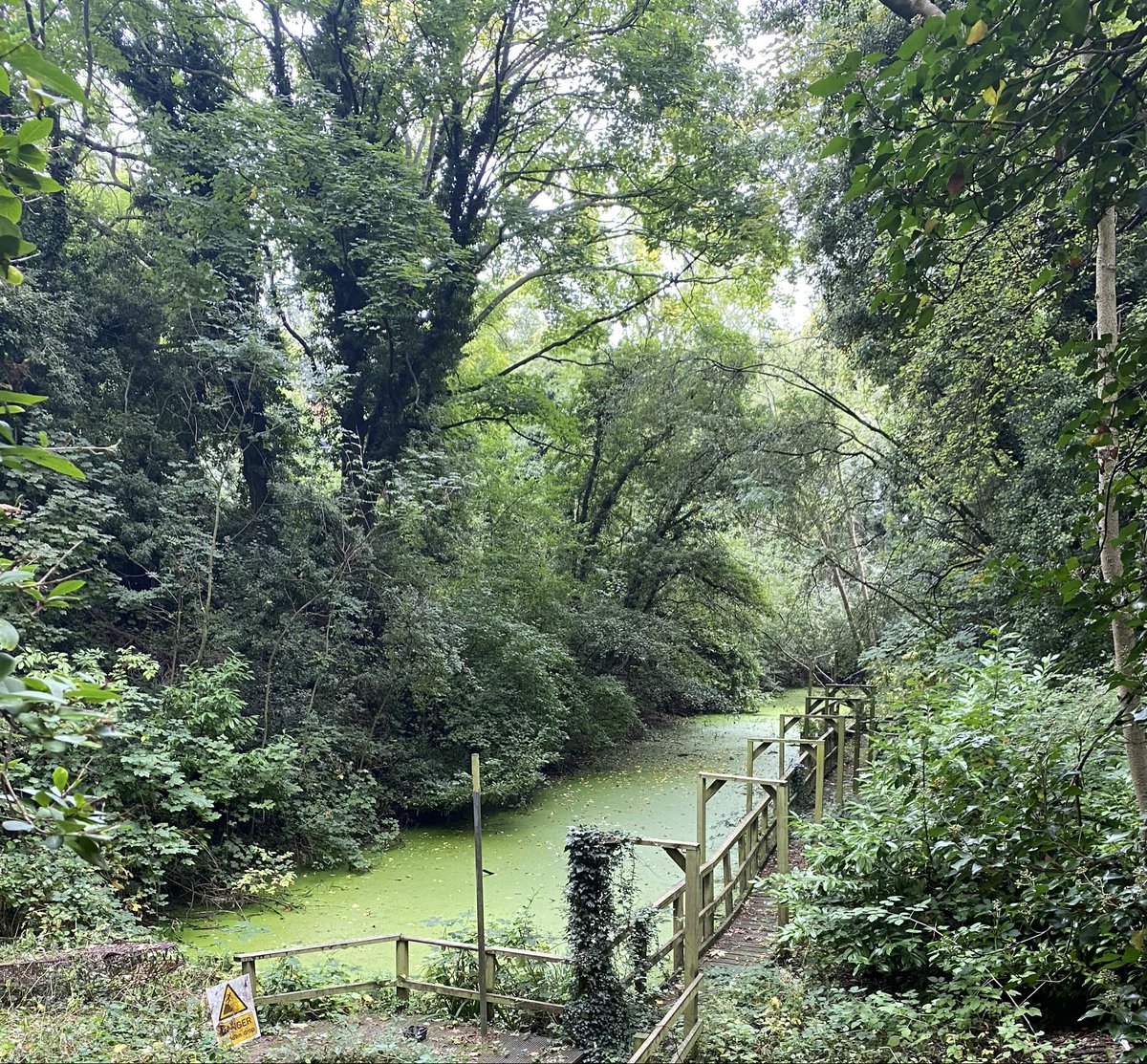 We’re thrilled to announce £109,500 support from <a href="/HeritageFundUK/">The National Lottery Heritage Fund</a> for 'Montrose Ravine: Education and Conservation', a project which will help to restore access to the ravine and improve the biodiversity of the site. A huge thanks to #NationalLottery players! #HeritageFund