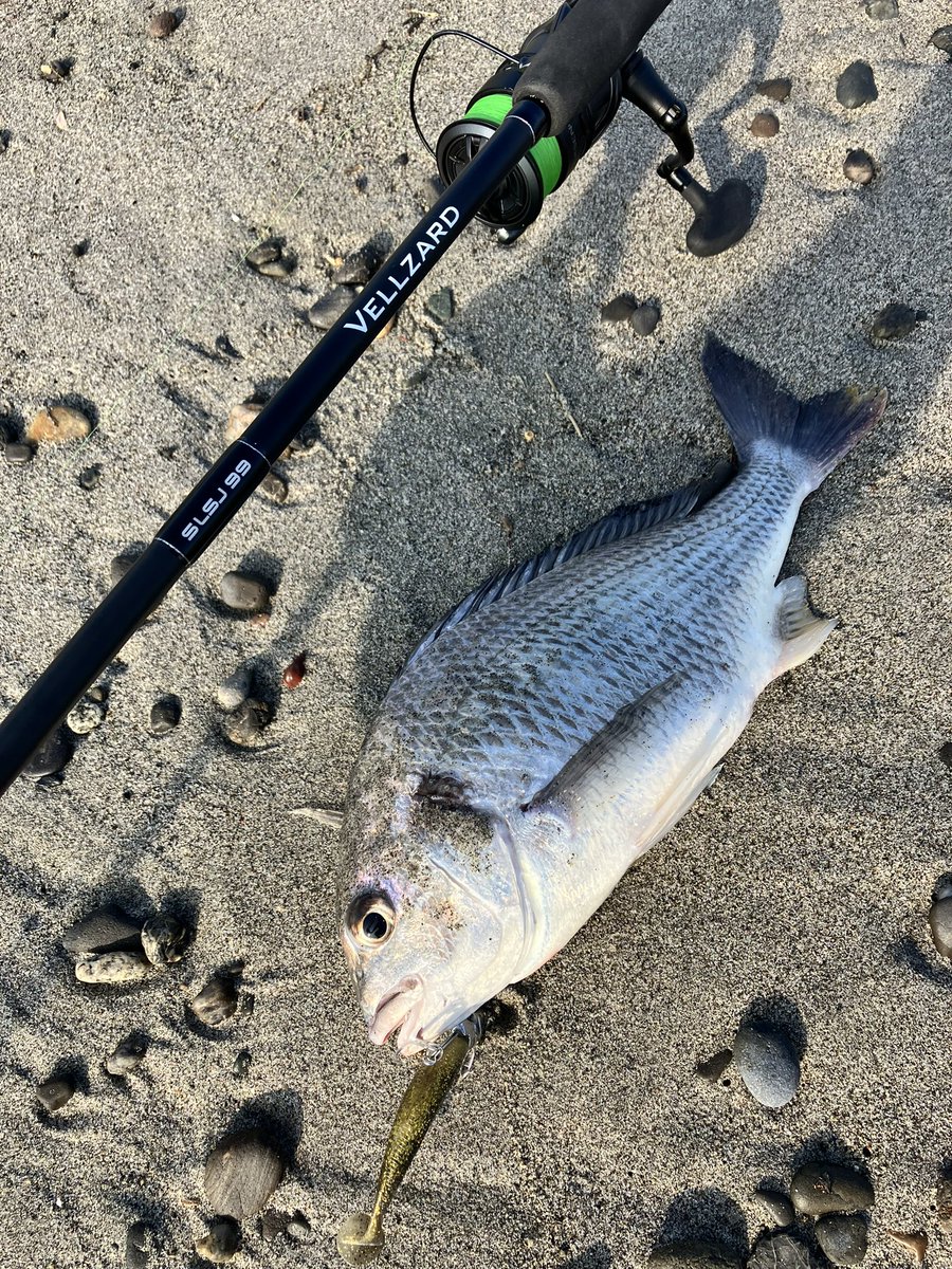 アングラーHM (@EXSENCE13) / Posts / X