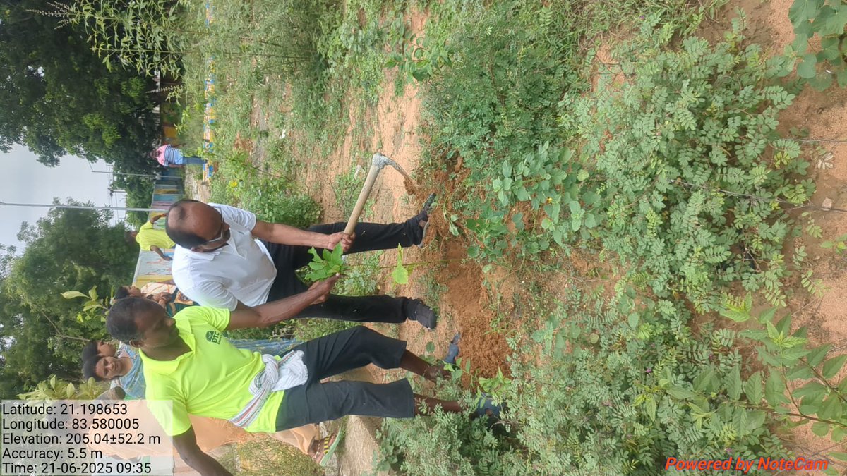 NacBarpali's tweet photo. @HUDDeptOdisha Plantation works under "Ek Ped Maa ke Naam Abhiyan" at Model Crematorium , NAC, Barpali, in presence of Executive Officer ,All staffs , Swachasathi/Supervisors and SHG Members and other https://t.co/UsOfSf2o71