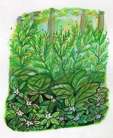 drawstuff's tweet image. #greenpatterns #sundaytrees #SummerSolstice2025 #nancycarlsonstudios