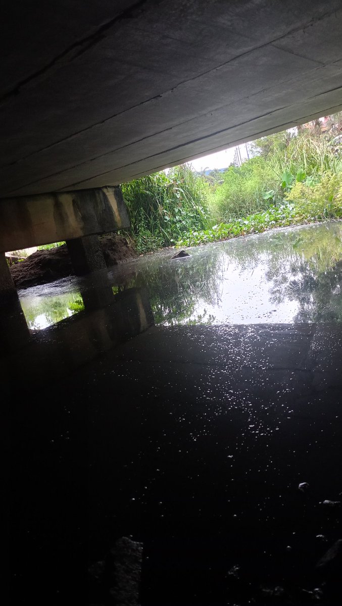 ตกปลา
#ใต้สะพาน #สงขลา