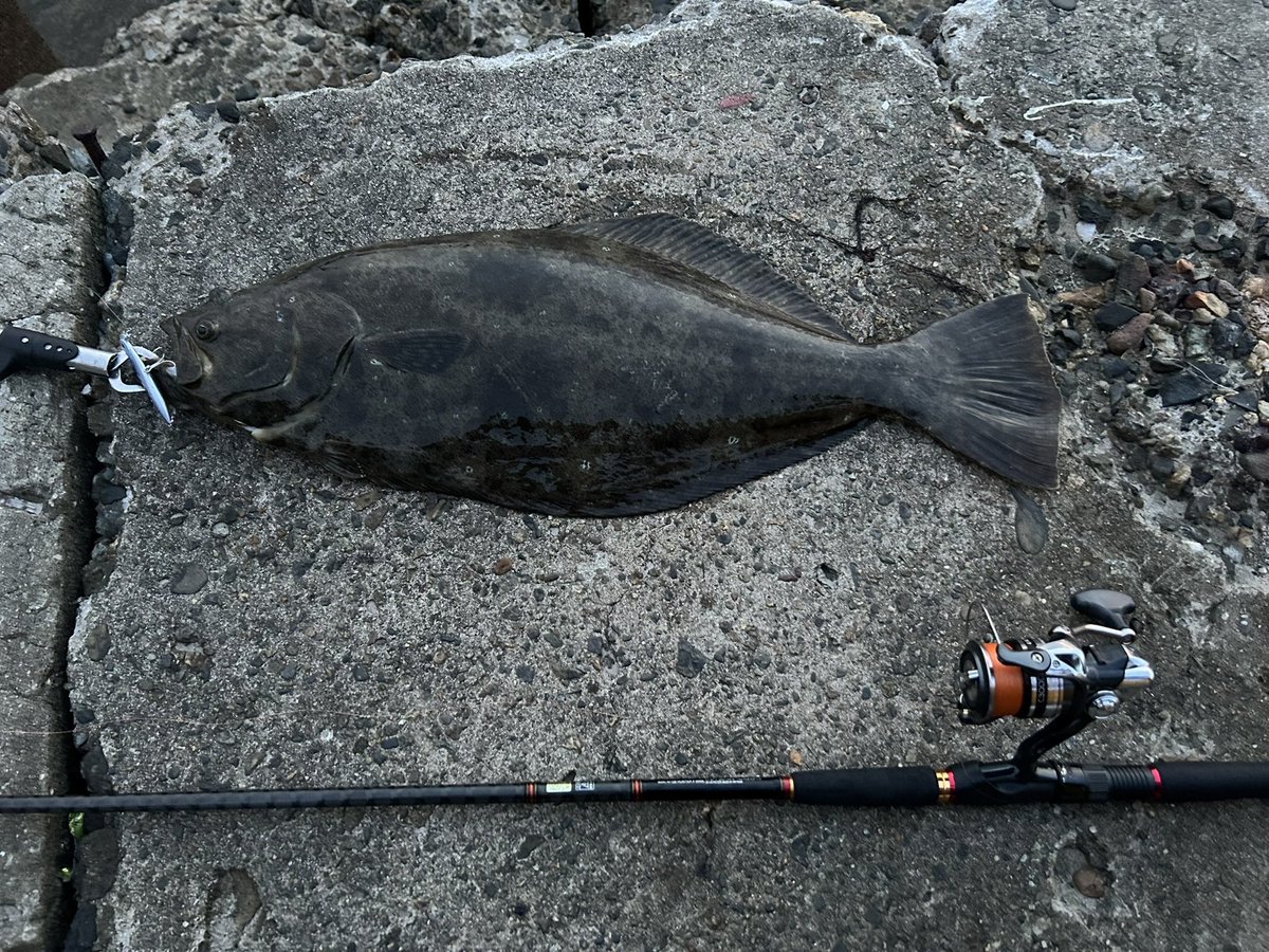 fishermanstream's tweet photo. 去年の主な大物の釣果です！ https://t.co/B0cDz0MKZU
