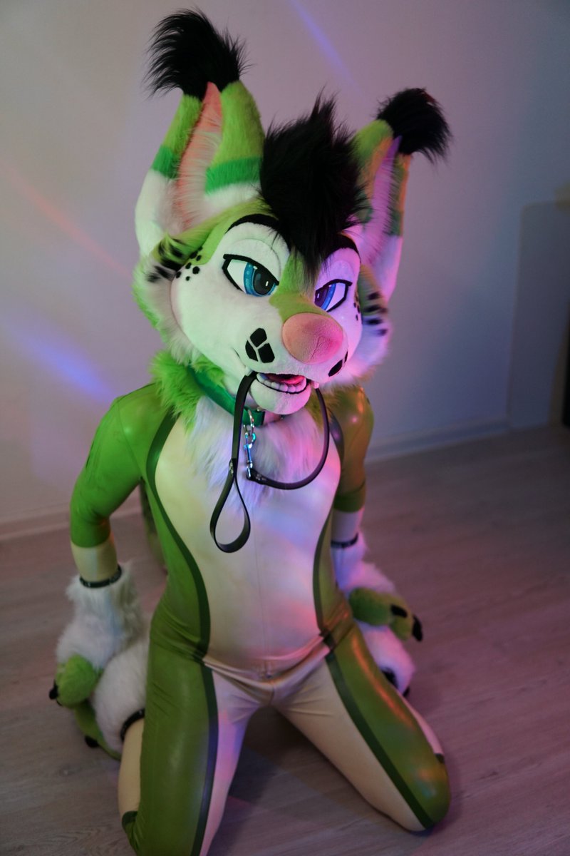 Please take my leash 💚

#latex #latexfur #shinysunday #squeakysunday