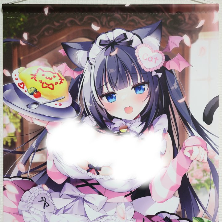 猫りん堂さん（<a href="/nekorindou/">猫りん堂【公式】🐈三つ葉ちょこ先生FANZAくじ発売中♥</a>）から3枚目！白もち桜さん（<a href="/sakura_siromoti/">白もち桜【🌸通販ありがとう!🍼🌸】📺配信🍼✨FANBOX✨🍼</a>）のタペストリーです🌸ピンクの衣装がキャワワなノエルさん、こぼれたおむねとチラ見えしたアソコはエチエチでした(๑´﹃`๑)💖💖
こちらのレビュー記事をブログにアップしたので、プロフィール欄のリンクから見に来て下さい🎵