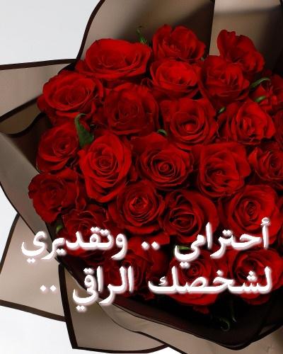 سدين@ ♥️♥️ tweet media