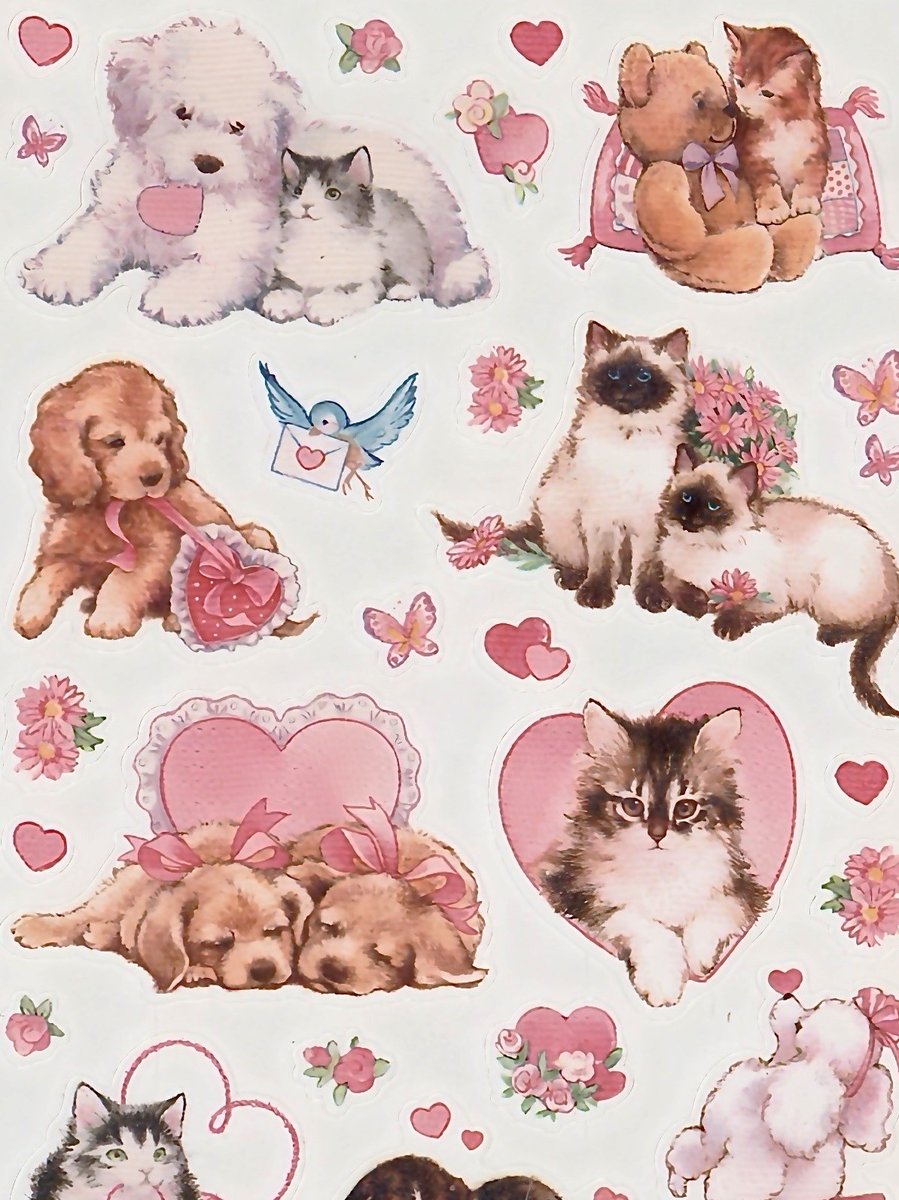 ♡ (@dreamyyarchive) on Twitter photo 