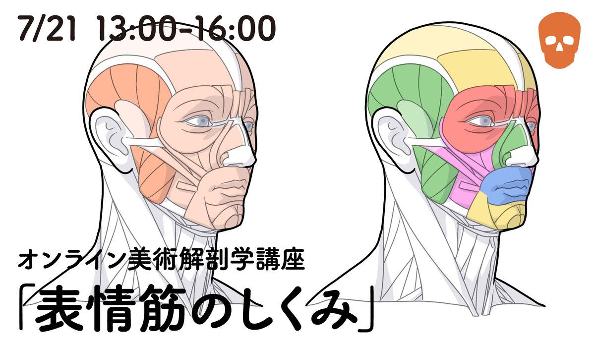 次回の講座は7/21（祝）開催の「表情筋のしくみ」です。表情筋の配置を学び、写真に描き込みしながら、楽しく筋肉のしくみを学びましょう。
講師：伊豆の美術解剖学者（<a href="/kato_anatomy/">伊豆の美術解剖学者</a>）
passmarket.yahoo.co.jp/event/show/det…