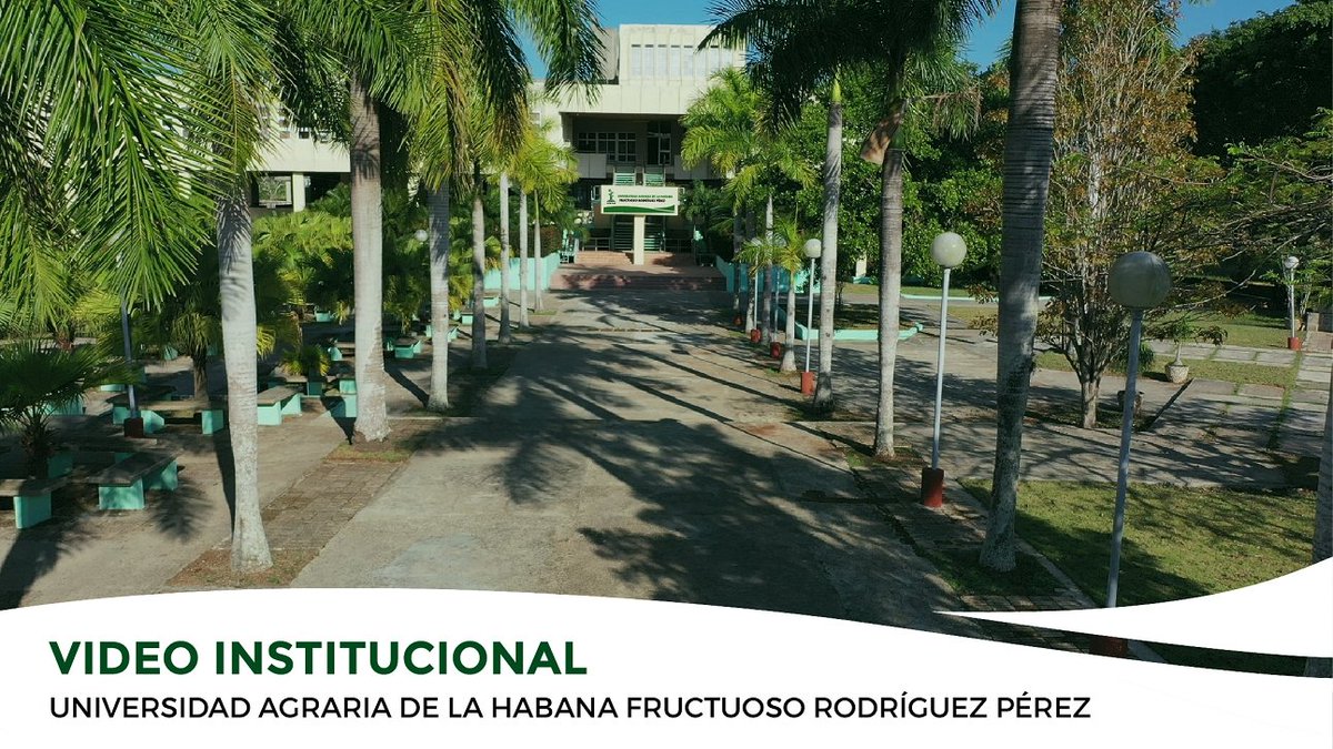 Universidad Agraria de La Habana (@unah_cuba) on Twitter photo 🌱❤️ Universidad Agraria de La Habana: un espacio que #SienteCreceYTransforma
‼️📽️ Compartimos con ustedes nuestro video institucional oficial.
bit.ly/3HLoziW
📹 <a href="/CultivaCiencia/">Cultivar Conciencia</a>
🌐📲 Síguenos a través de la Redes Sociales y sé parte de nuestro ecosistema digital. 🌱❤️ Universidad Agraria de La Habana: un espacio que #SienteCreceYTransforma
‼️📽️ Compartimos con ustedes nuestro video institucional oficial.
bit.ly/3HLoziW
📹 <a href="/CultivaCiencia/">Cultivar Conciencia</a>
🌐📲 Síguenos a través de la Redes Sociales y sé parte de nuestro ecosistema digital.