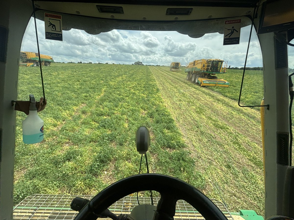 In the hot seat this afternoon as we chase down the humble 🫛🫛 after 33*C yesterday! 💨🚛🫛👍