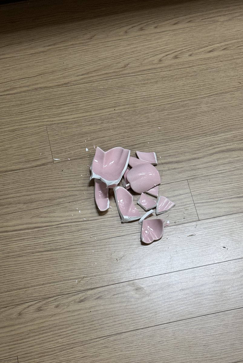 채소와 아주 오랜 시간을 함께했던 꽃모양 밥그릇이 조금 전 유명을 달리했다..... 이제 나오지 않는 것 같아서 아쉽지만.. 그동안 채소의 음식을 담아줘서 늘 고마웠어 꽃그릇 ㅠ 채소사진은 그냥 귀여우니까 같이올려봄