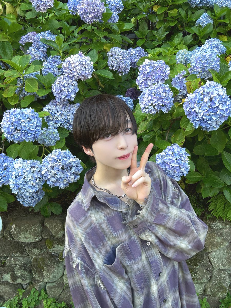 ace__tomoki's tweet photo. 🪻 https://t.co/uIJkOhD41m