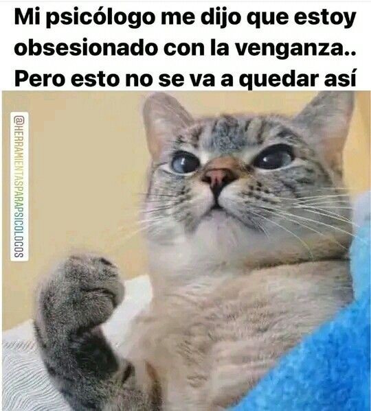 ymuchosmemes's tweet photo. https://t.co/nFH6PDxC4C