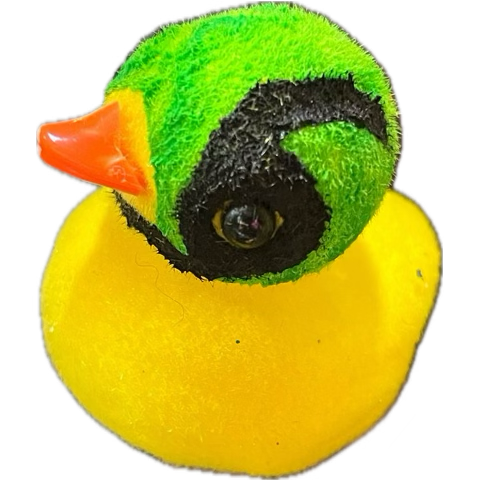 MrIguana's tweet photo. https://t.co/EpREOBQEJN