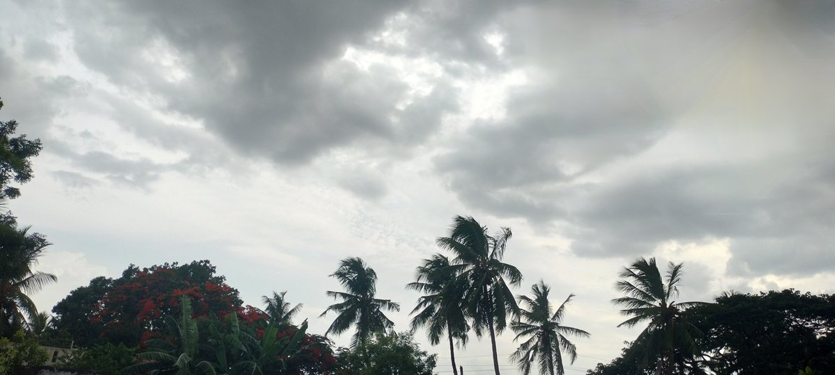 సోమవారం శ్రీకాకుళం,విజయనగరం, మన్యం, అల్లూరి, విశాఖ, అనకాపల్లి, కాకినాడ, కోనసీమ, తూర్పుగోదావరి, పశ్చిమ గోదావరి, ఏలూరు, కృష్ణా, ఎన్టీఆర్, గుంటూరు, బాపట్ల, పల్నాడు, ప్రకాశం, నెల్లూరు, తిరుపతి జిల్లాల్లో అక్కడక్కడ తేలికపాటి వర్షాలు కురిసే అవకాశం ఉంది.
~ ఏపీ విపత్తుల నిర్వహణ సంస్థ