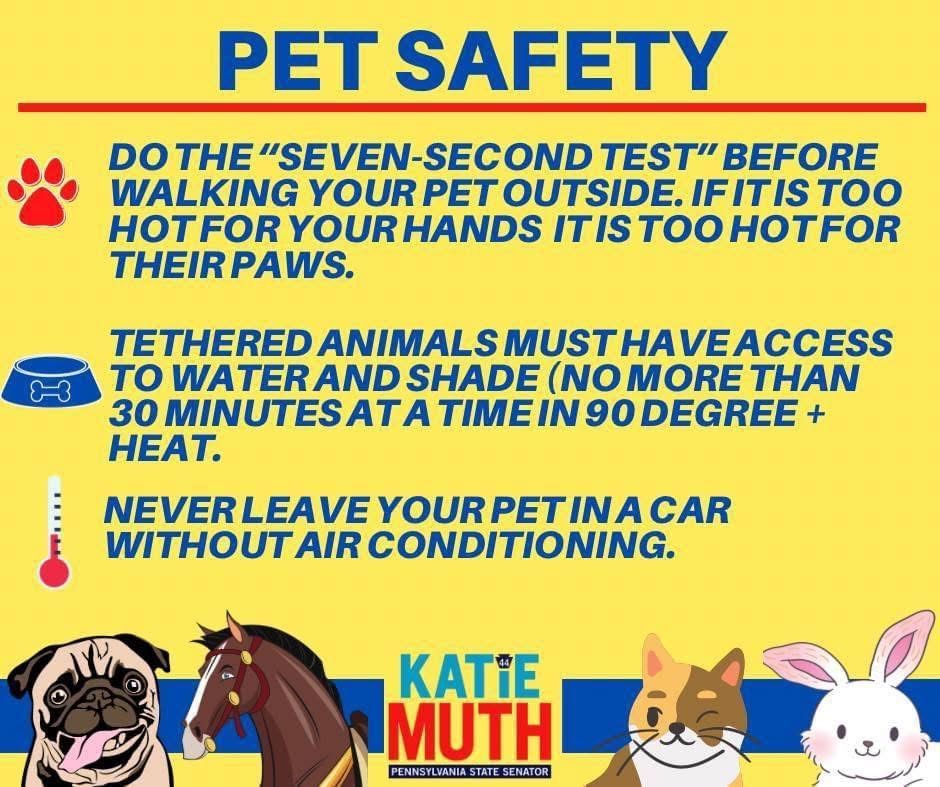 Senator Katie Muth tweet media