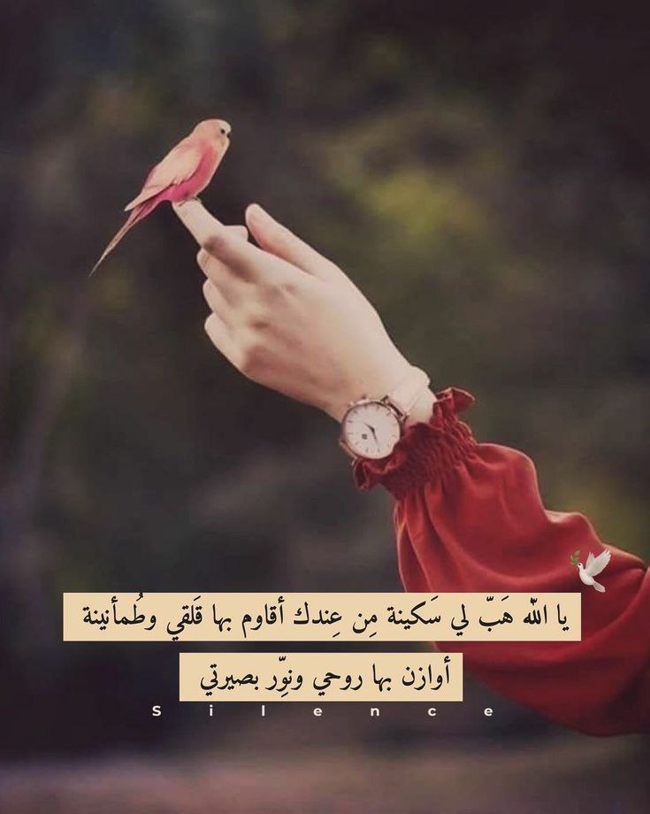 "من المستحيل أن يذهب لغيرك شئ قد كتبه الله لك ف أطمئن لاتحسد ، والا تحقد وعش بقلب أبيض نقئ ونيه صافيه."💦🍂