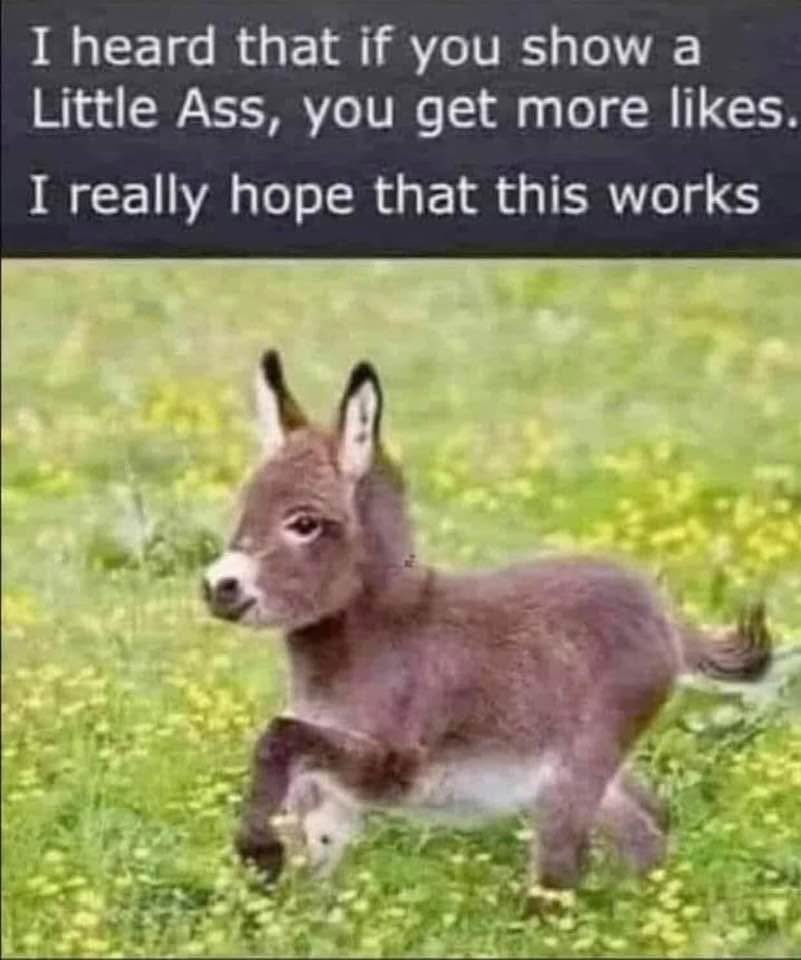 Diane Winters (@dianew_author) on Twitter photo 