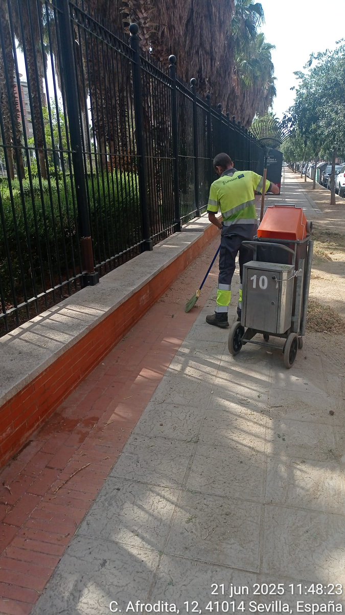 Es fin de semana, pero para <a href="/LipasamSevilla/">Lipasam</a> no hay descanso cuando se trata de mantener limpio nuestro Distrito 

Mediante soplado y barrido, los operarios han realizado durante ayer y hoy la programación diaria en #BellavistaLaPalmera.

#SevillaEstáEnMarcha
#cuidemosSevilla