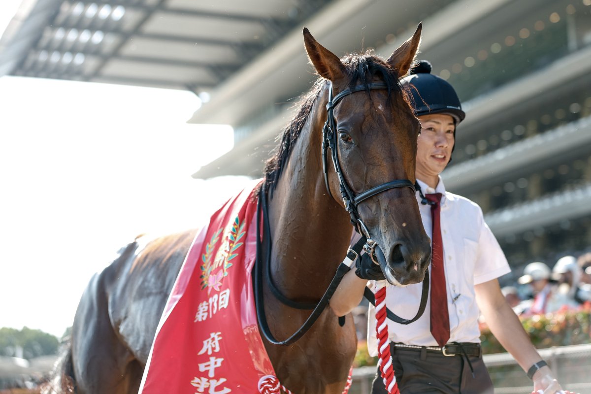 サウンドビバーチェ 実使用ゼッケン ターコイズS（G3）浜中俊騎乗