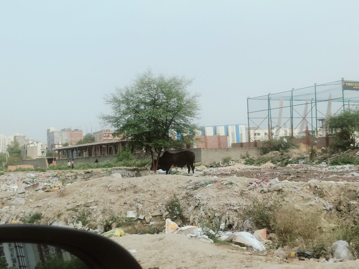 Chhabi 🇮🇳 (@chhabiy) on Twitter photo Bisrakh village behind Arihant arden & super tech
<a href="/OfficialGNIDA/">Greater Noida Industrial Development Authority</a> is this your cleanliness drive?
<a href="/tejpalnagarMLA/">Tejpal Nagar</a> <a href="/dr_maheshsharma/">Dr. Mahesh Sharma</a> <a href="/NandiGuptaBJP/">Nand Gopal Gupta 'Nandi'</a> <a href="/SwachhBharatGov/">Swachh Bharat Urban</a> Bisrakh village behind Arihant arden & super tech
<a href="/OfficialGNIDA/">Greater Noida Industrial Development Authority</a> is this your cleanliness drive?
<a href="/tejpalnagarMLA/">Tejpal Nagar</a> <a href="/dr_maheshsharma/">Dr. Mahesh Sharma</a> <a href="/NandiGuptaBJP/">Nand Gopal Gupta 'Nandi'</a> <a href="/SwachhBharatGov/">Swachh Bharat Urban</a>