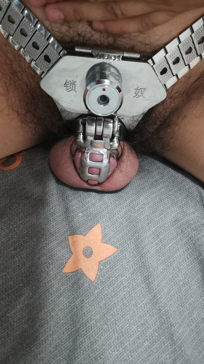 DogRubbe's tweet photo. 笼子是最小的，要不点赞超过100直接用胶堵死！😁 https://t.co/zRi6okw7kb