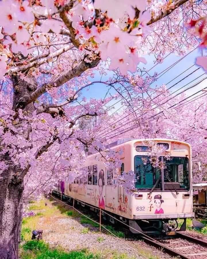Mohin3j's tweet photo. Love this view.❤️❤️ https://t.co/k1O87clNUi