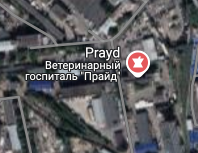 выборгская сторона петербурга отмечает месяц гордости как никто другой