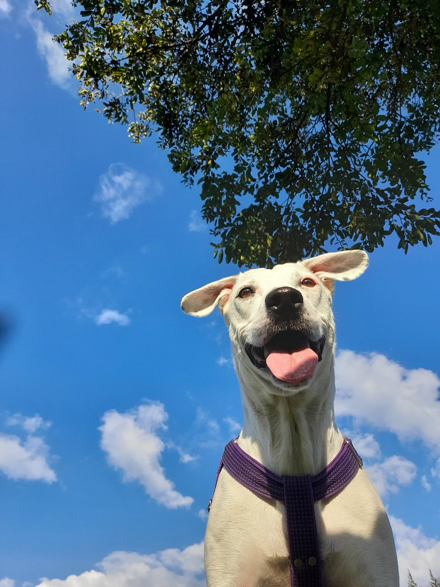 Diego_wdd's tweet photo. Mi pedacito de cielo ❤️ https://t.co/91eyagCo4l