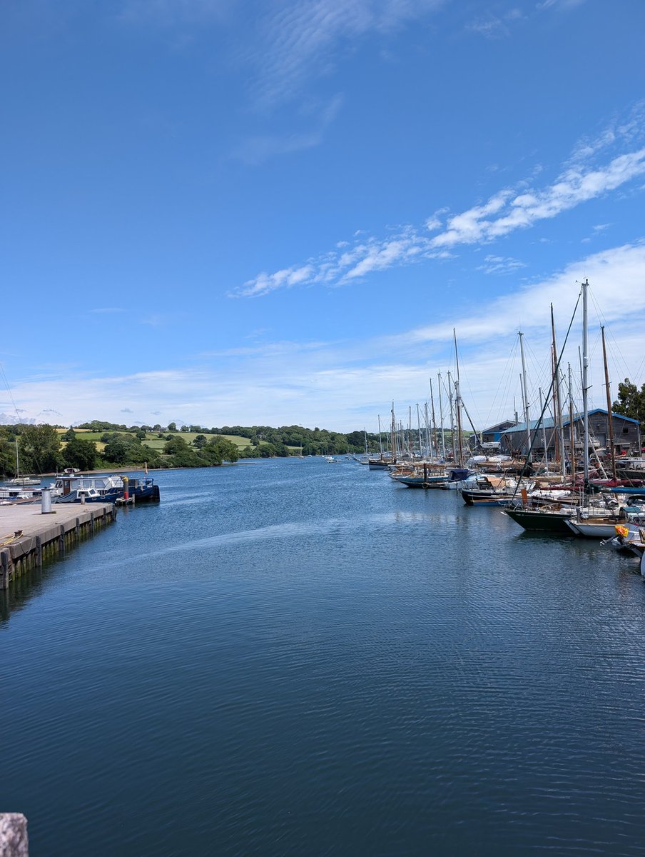 Heather Wallace tweet media