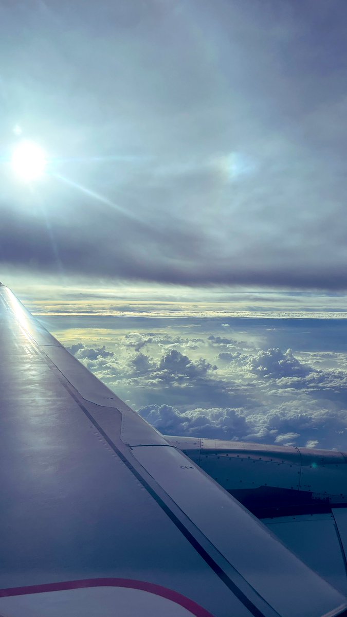 C.Moon 🌖 tweet media