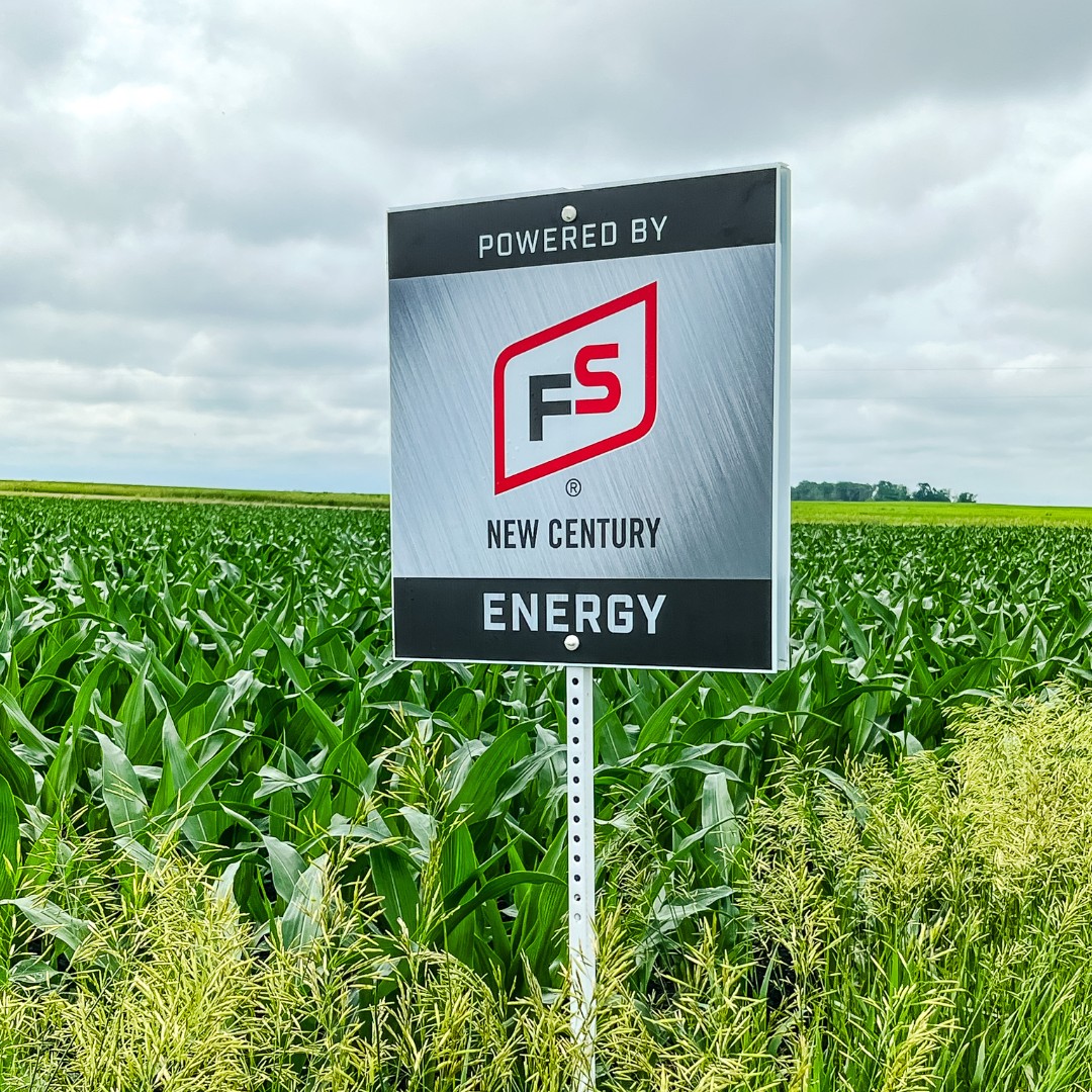 NCFS1 tweet picture