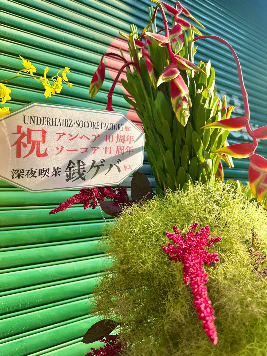 UHZ_info's tweet photo. 超売れっ子構成作家（になったはずなのになぜか遠くに行ってしまわない）、メンバー3人の旧友くらやん
ライブの前々日も3人揃って飲んでた西成の名店、29号
東京にもお花を出してくれてた、3人の出会いの店（多分）、味園からジョートウビルに移転した深夜喫茶銭ゲバ
お花ありがとうございました！！！ https://t.co/4iCQWcWqxE