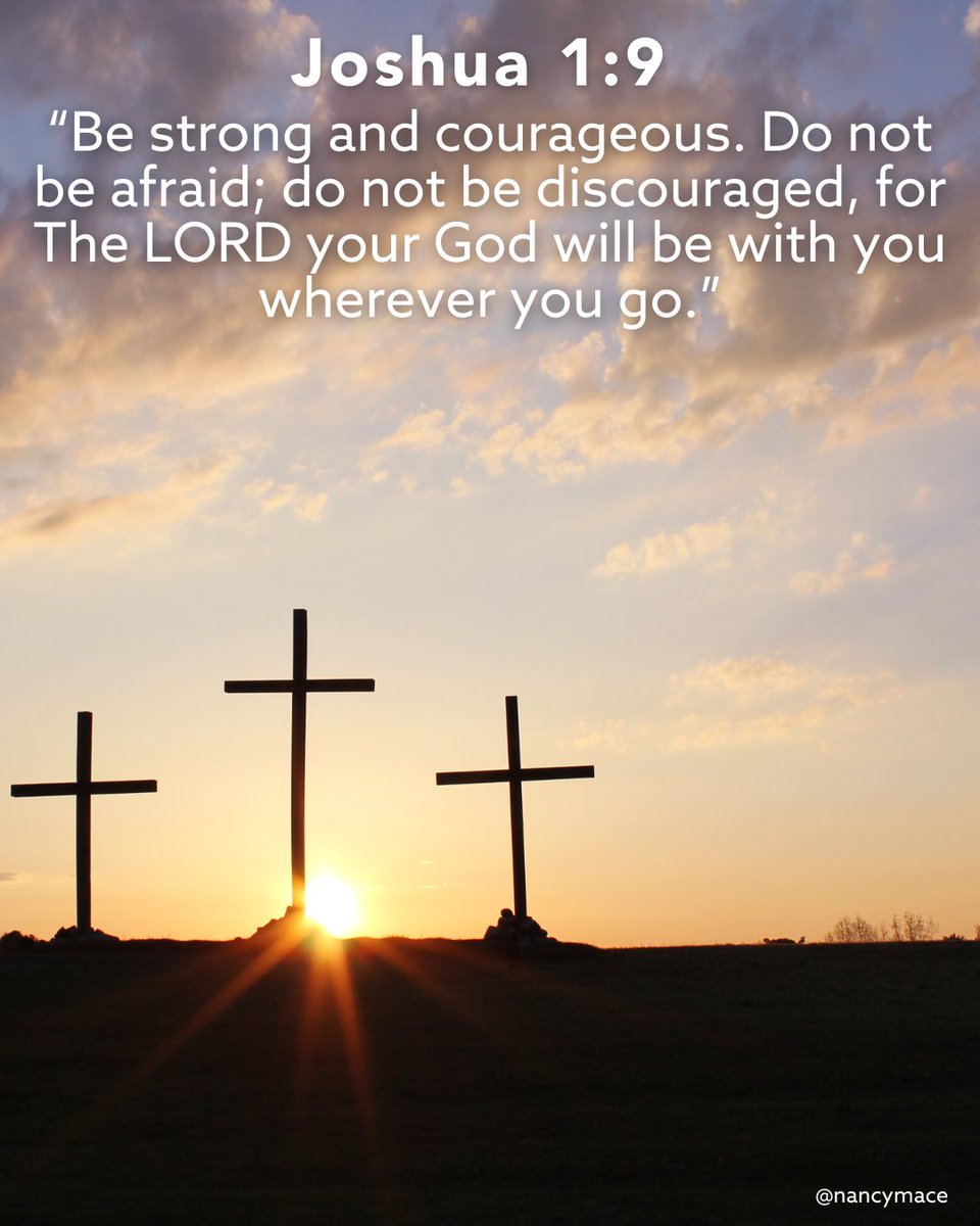 Nancy Mace (@nancymace) on Twitter photo 