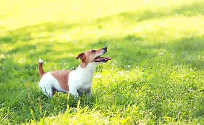 GM #openseatouchgrass