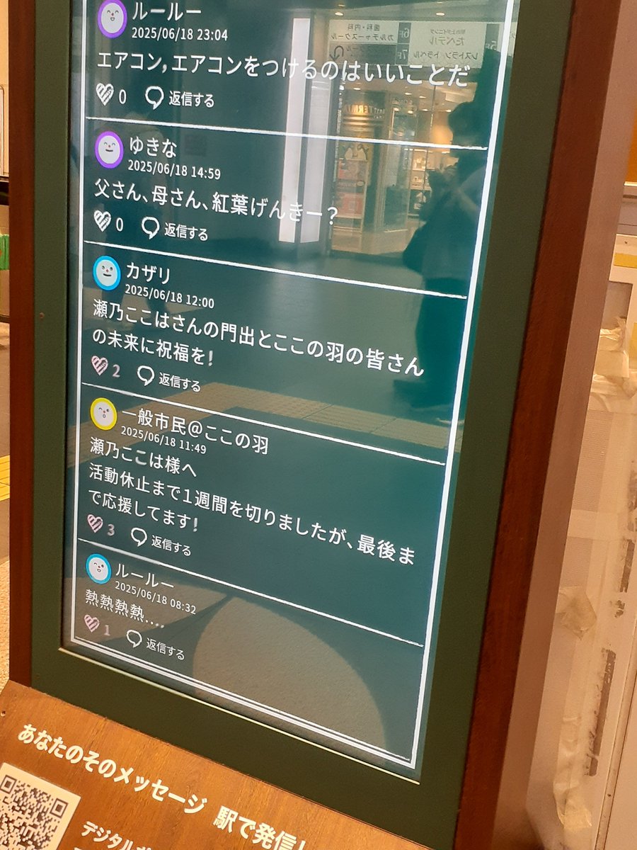 せのここみてみて