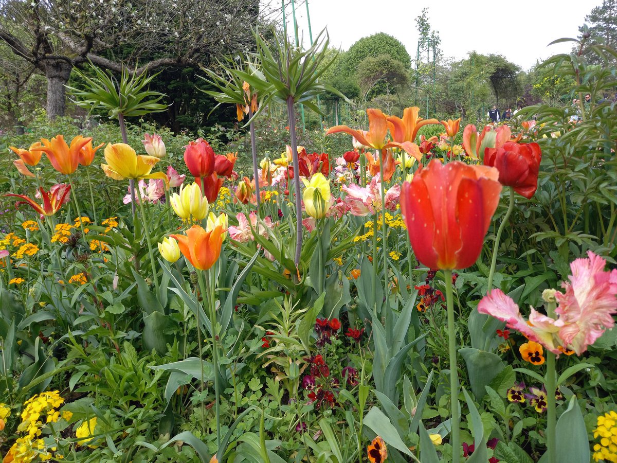 ci_enne's tweet photo. Il giardino di #Monet a Giverny.... sembra di camminare in un quadro https://t.co/fFhT5RKYbR
