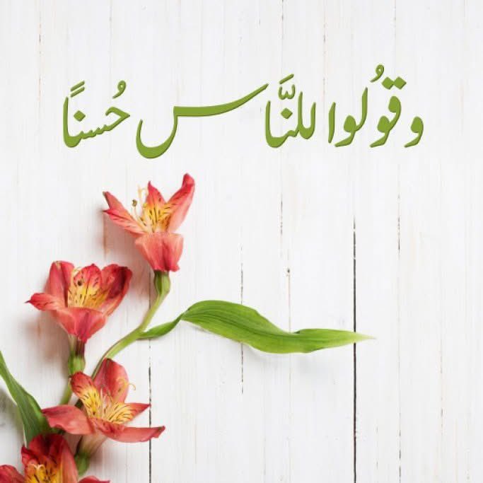 Sanad Network - شبكة سند tweet media