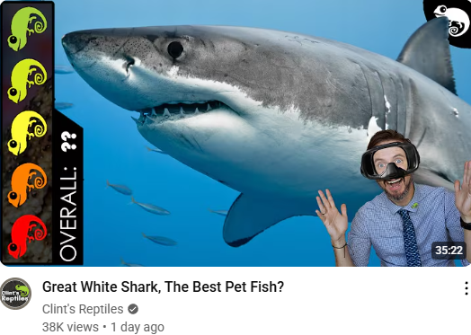 Best channel on the internet
