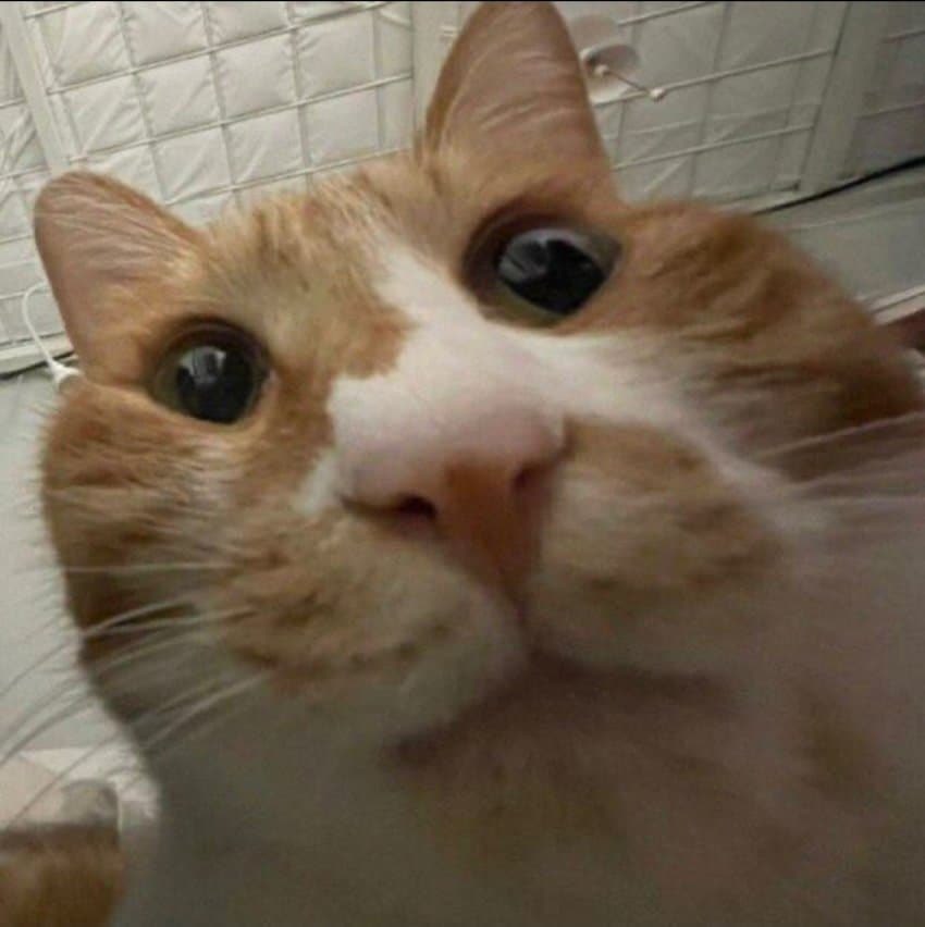 옛날에 커뮤가 날 낳앗슨

그냥 낳앗슨

딱히 키워주진 않앗슨