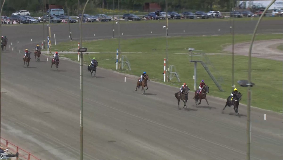 Det blev en andraplats i finalen av Kalmarsundsmontén tillsammans med Romero som jag fick prova för första gången idag🥈och igår i Rättvik blev jag trea ihop med Västerbo Blizzard som gjorde sin första start i monté🥉