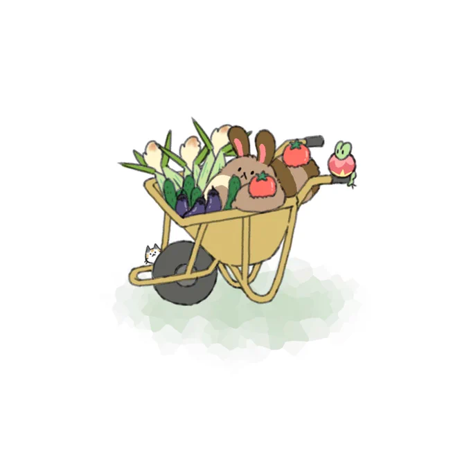 夏野菜