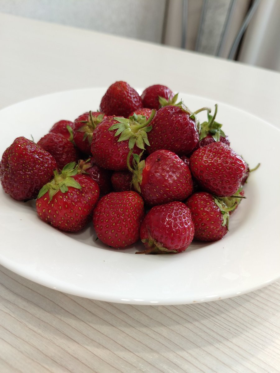 выселились из общаги +в одну харю схрячили тарелку клубники от тёти ларисы