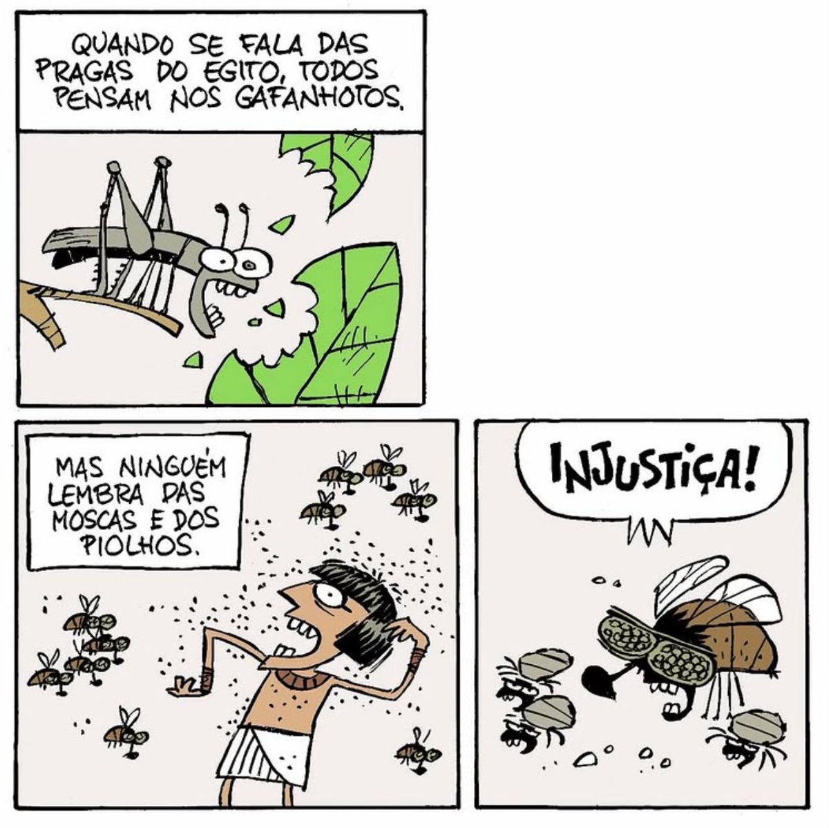 Luiz Borba tweet media